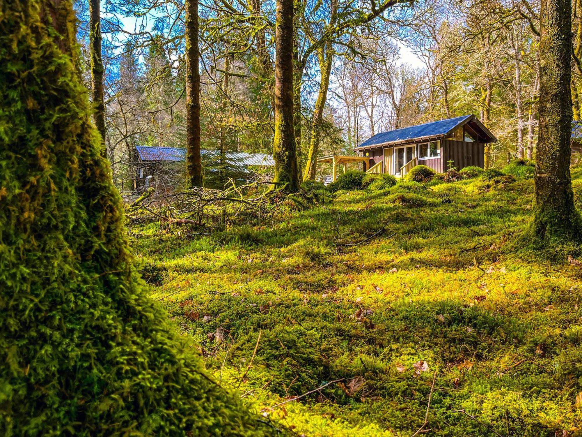 Loch Aweside Forest Cabins Dalavich Room photo